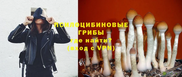 гашик Нефтегорск