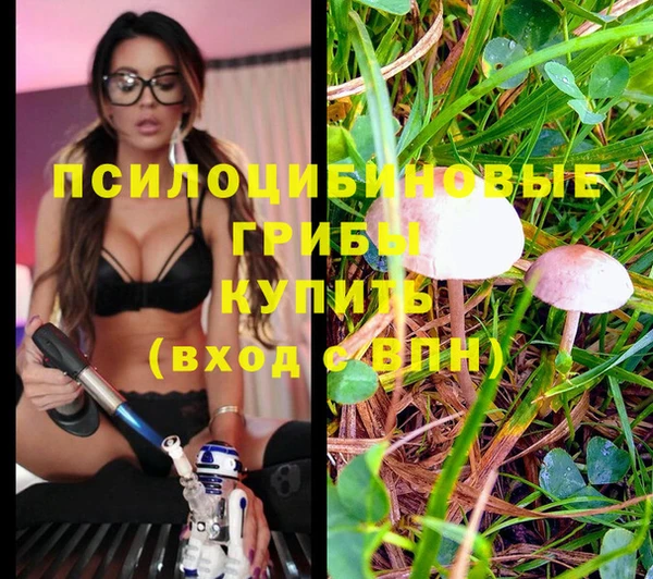 a pvp Нея